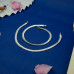 Sleek Silver Payal