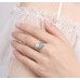 Constellation Swallow Studs