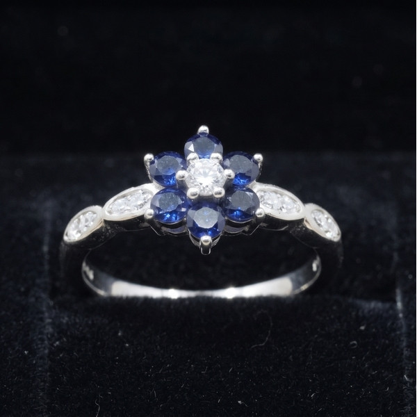 Radiant Wings Adjustable Ring